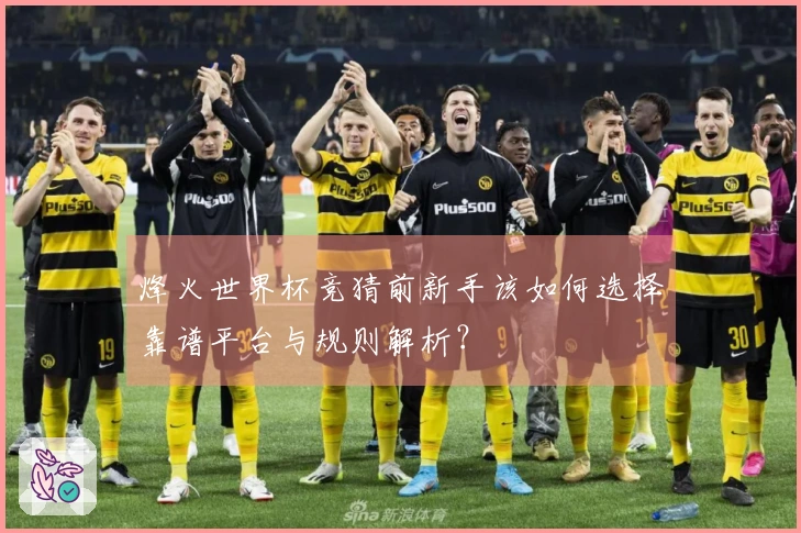 烽火世界杯竞猜前新手该如何选择靠谱平台与规则解析？