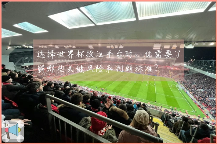 选择世界杯投注平台时，你需要了解哪些关键风险和判断标准？