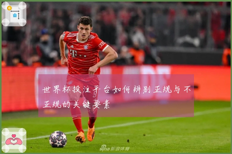 世界杯投注平台如何辨别正规与不正规的关键要素