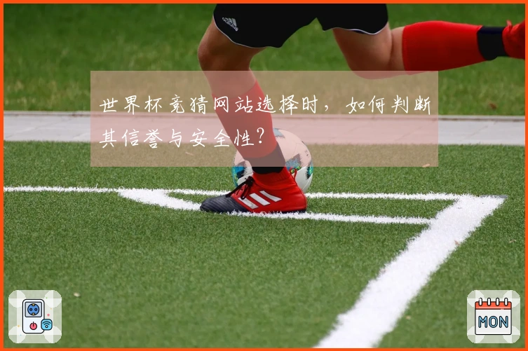世界杯竞猜网站选择时，如何判断其信誉与安全性？